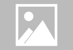 电子竞技app官方网-布赖顿vs托特纳姆热刺比赛分析